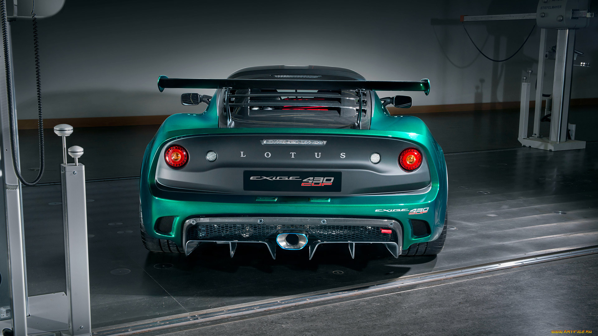 , lotus